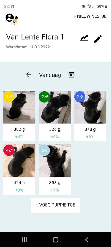 Afbeelding