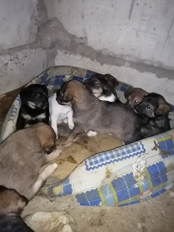 C0DF3D69-4262-4FD5-8794-2883AF03DE5B