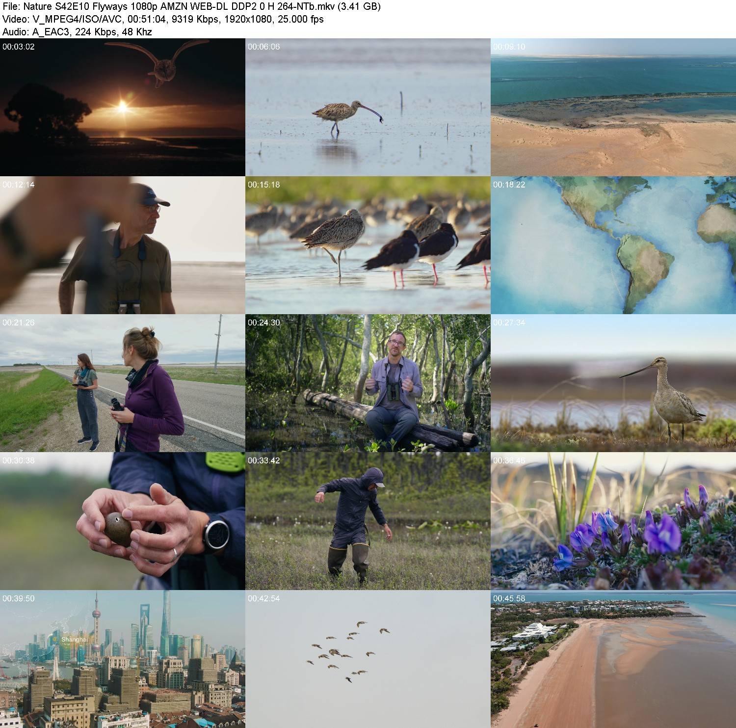 [Image: w8z4b0ndef7s.jpg]