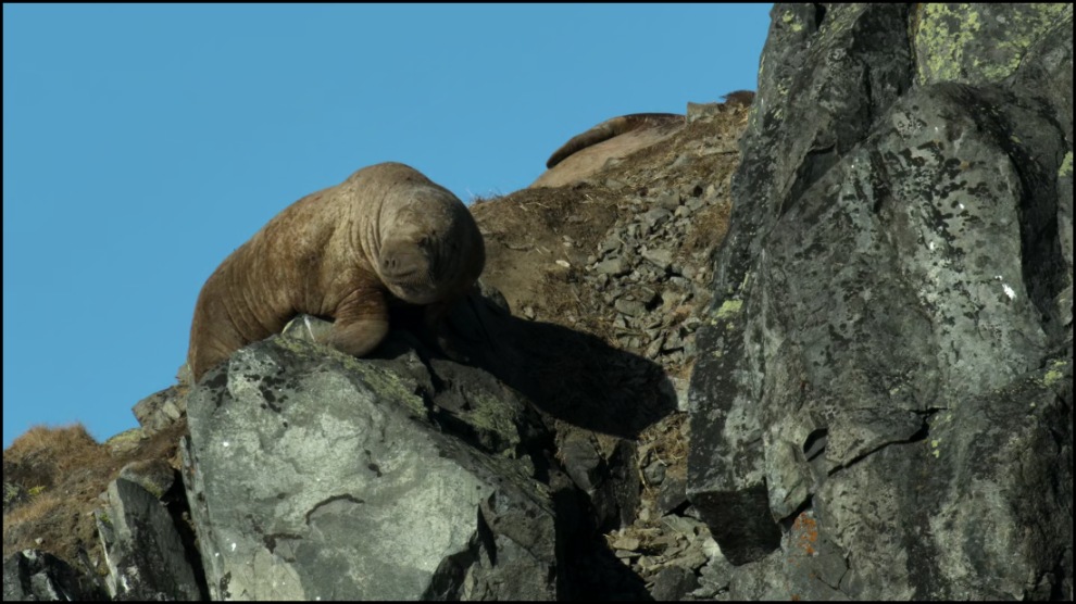 [Image: z7386qtdslat.png]