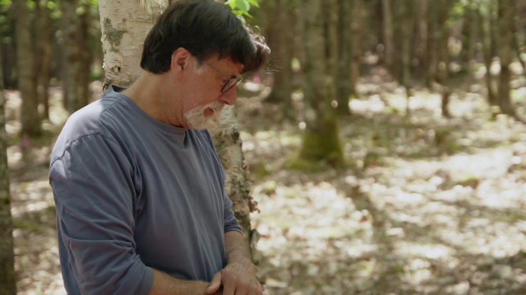 [Image: a7011lektula.png]