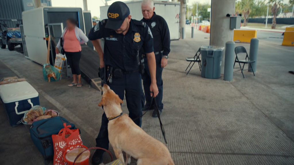 [Image: 48epc0qsov4y.png]