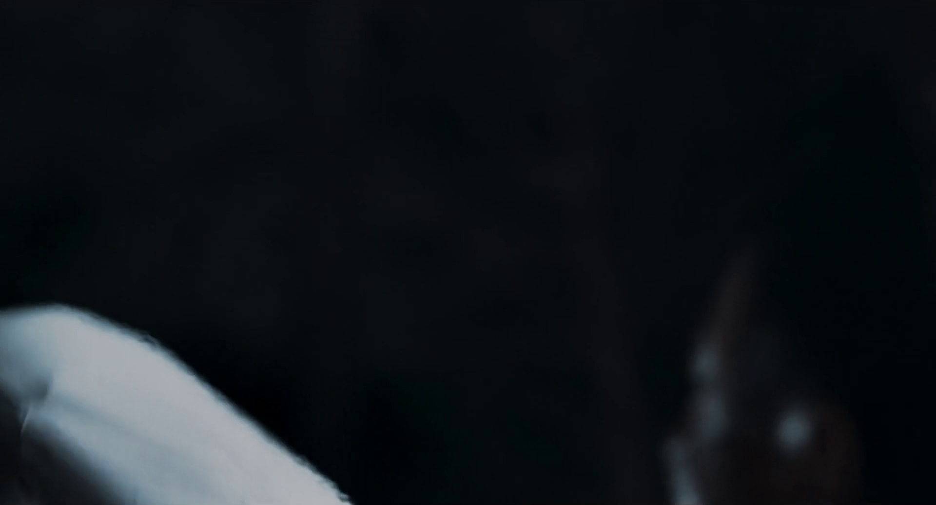 dn5oko66h9.png
