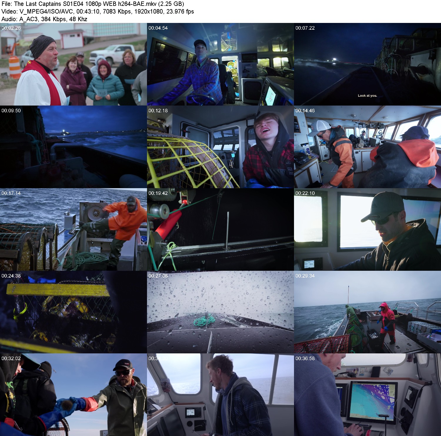 [Image: 9w8gu2p5aqbr.jpg]