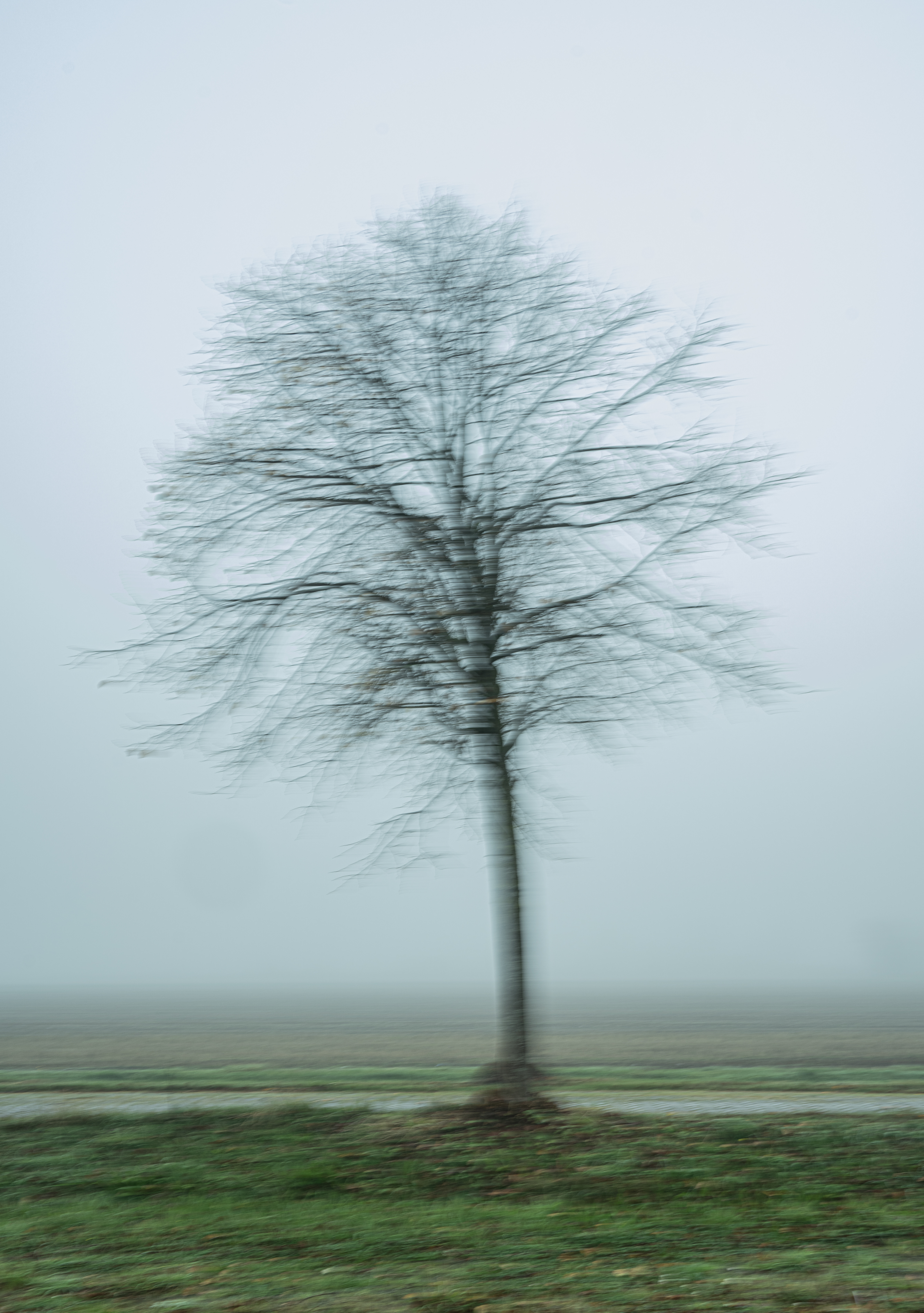 Fotografie