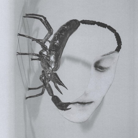 Tortoise - Touch (2025)