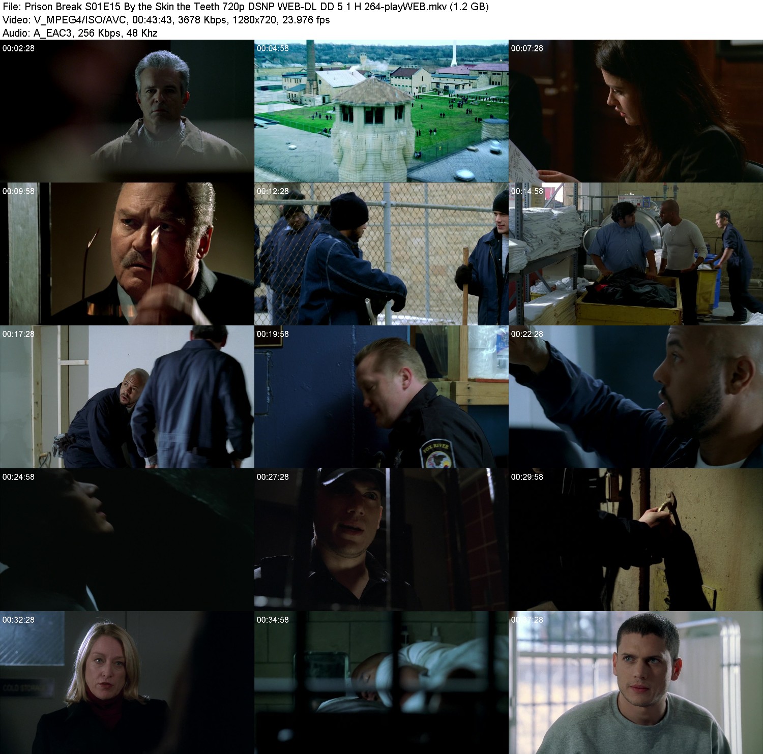 [Image: ryu89ejgv6p1.jpg]