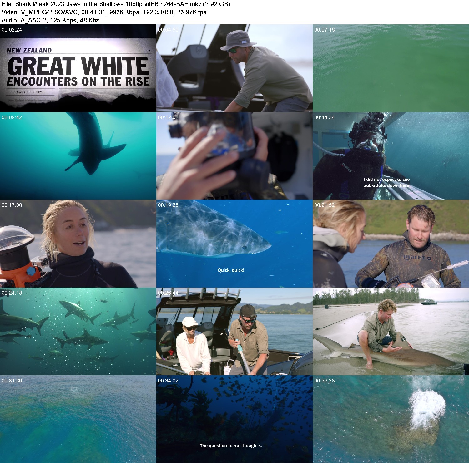 [Image: mopivy85iv72.jpg]