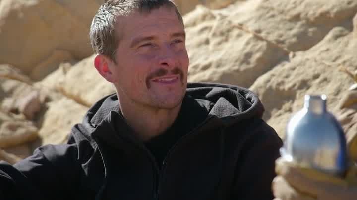 [Image: qp8o7j8agrb7.jpg]