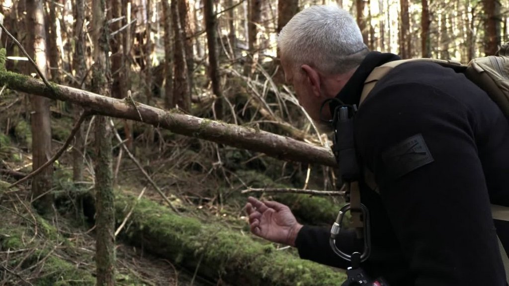 [Image: w6yv83k6wwng.jpg]