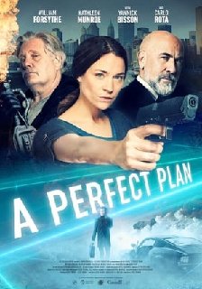A-Perfect-Plan-2020-720p-WEBRip-X264-AC3