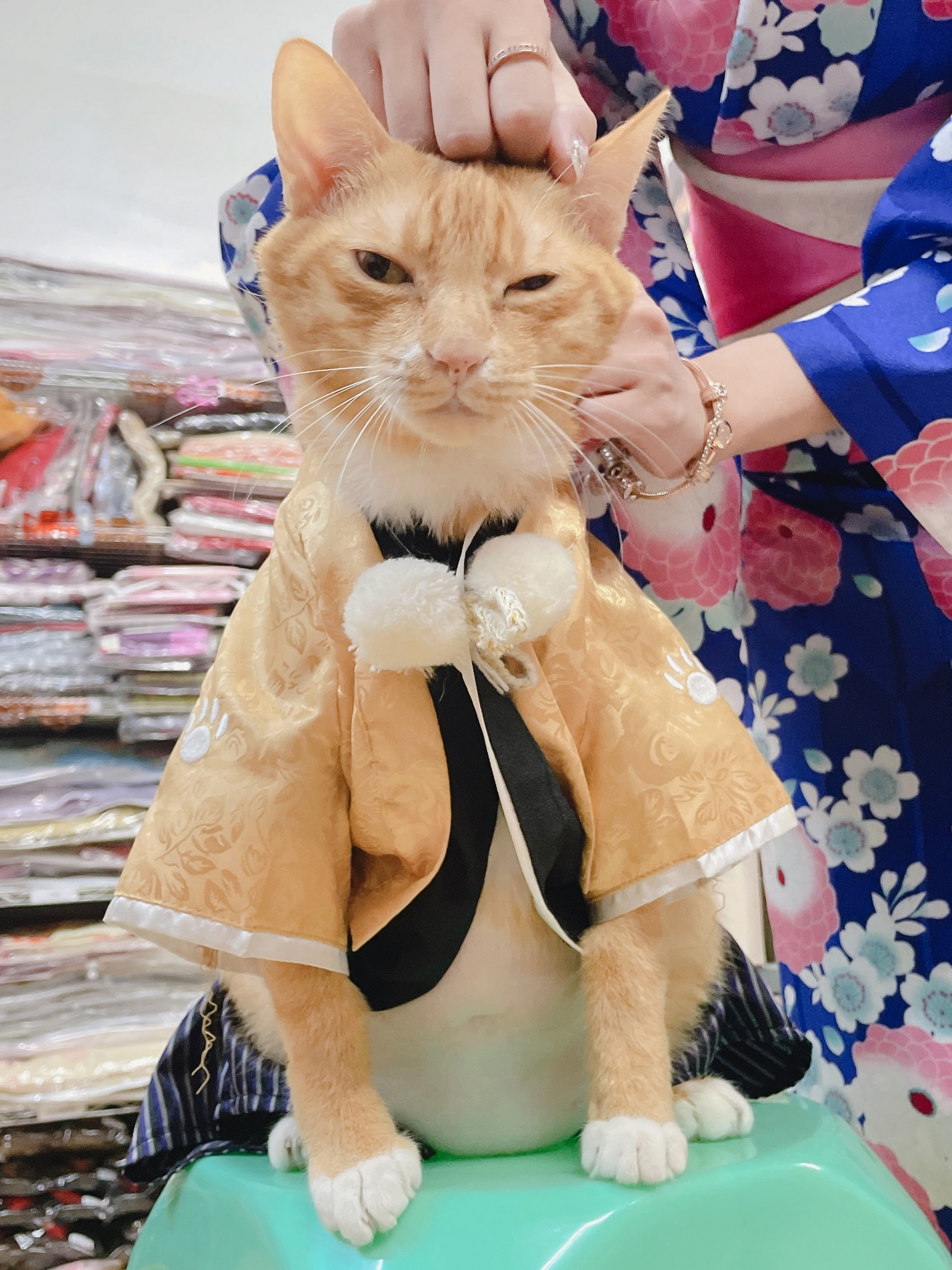 泥泥汝 和服主题 写真＋视频合集｜日式传统风高清图集（440P｜26V｜1.36GB）插图3