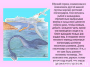 https://i.postimg.cc/Hc070pgg/img12.jpg