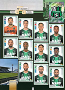 Album-Calciatori-2019-2020-Panini-069