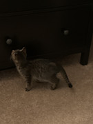 709E6E05-6AE6-4DBF-A9DF-9FAA4627D31D