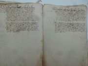 P1130878