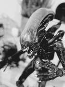 [Obrazek: 20241025-181133.jpg]