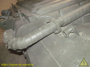 IMG-6904