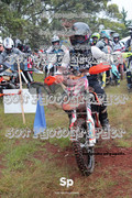 IMG-0025
