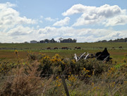 PXL-20250827-022657158