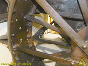 DSCN5916