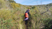 IMG-20251129-133212