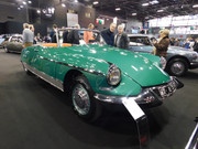 DSCN6981.jpg