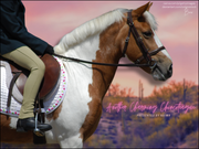 Naima Charming Chincoteague