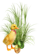 0-1c1b15-3228701a-orig