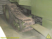 IMG-8804