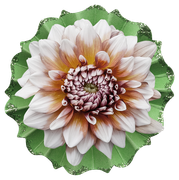 Blossom-Elements-9