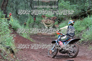 IMG-6574
