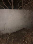 photo_2023-03-23_18-28-48