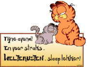 fijne-avond-welterusten-garfield
