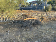 IMG-7565