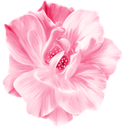 BIBI-PINK-ANGEL-ELEMS-99