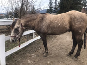 2FA9D86D-1074-4899-8AC5-724D3BCC2AC0