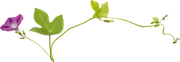 0-1c0e11-3f906d53-orig