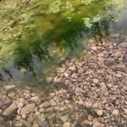 IMG_20140718_144631_resize