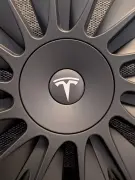 Silver Gloss Logo