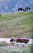 Targa Florio (Part 4) 1960 - 1969  - Page 13 1968-TF-192-003