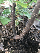 912E3E4F-85DB-4CF3-BF10-DCA413ACD2A6