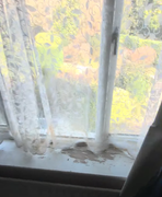 Screenshot-2026-03-11-at-13-36-18