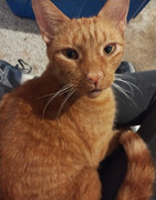 IMG_20231208_224646076