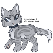 classic silver tabby