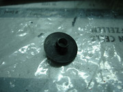 DSC00066.jpg