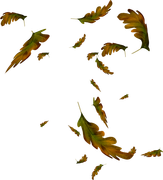 TADD_elements_Shimmer_Fall_43