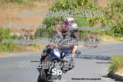IMG-2565