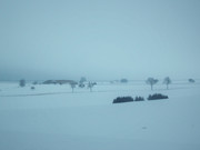 21,1 - On aime l'hiver, on n'aime pas ce qu'il fait ressentir