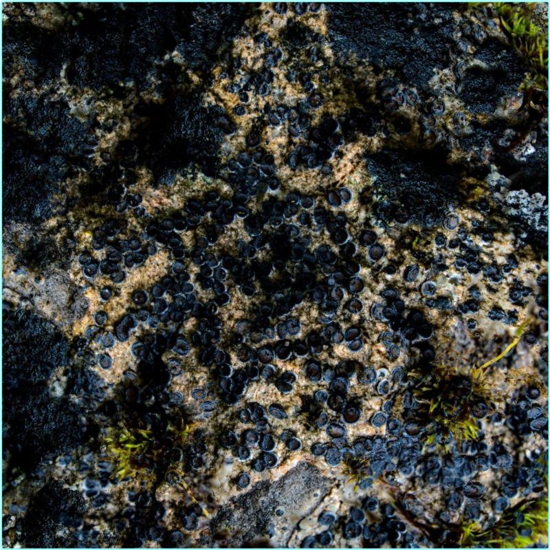 [Image: c11wr0i5jkth.png]